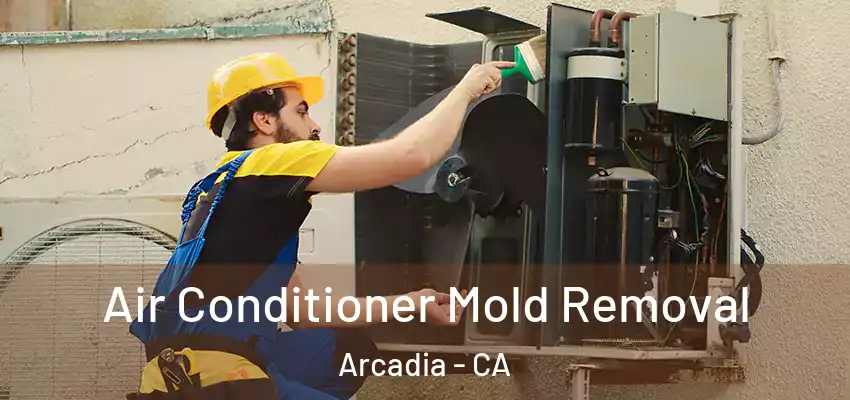  Air Conditioner Mold Removal Arcadia - CA
