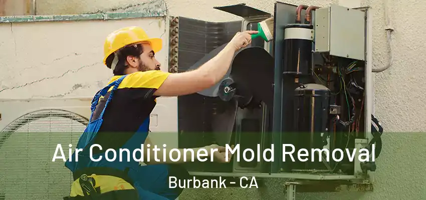  Air Conditioner Mold Removal Burbank - CA