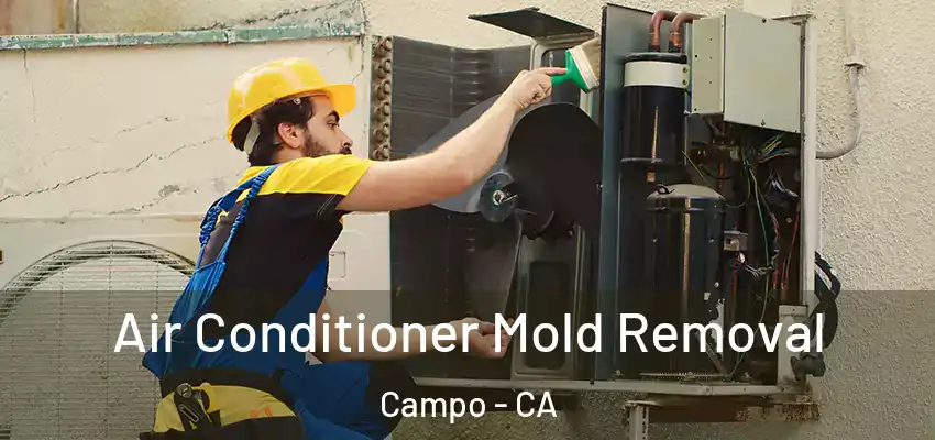  Air Conditioner Mold Removal Campo - CA