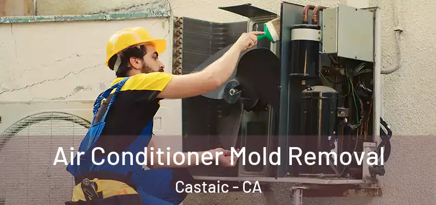  Air Conditioner Mold Removal Castaic - CA
