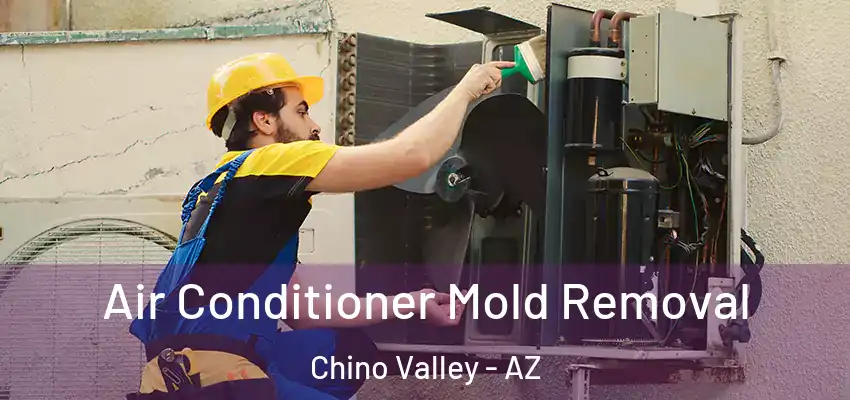 Air Conditioner Mold Removal Chino Valley - AZ