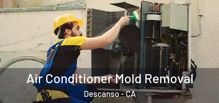 Air Conditioner Mold Removal Descanso - CA