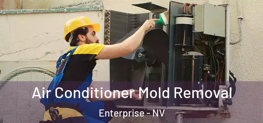  Air Conditioner Mold Removal Enterprise - NV