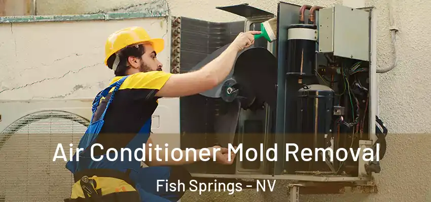  Air Conditioner Mold Removal Fish Springs - NV