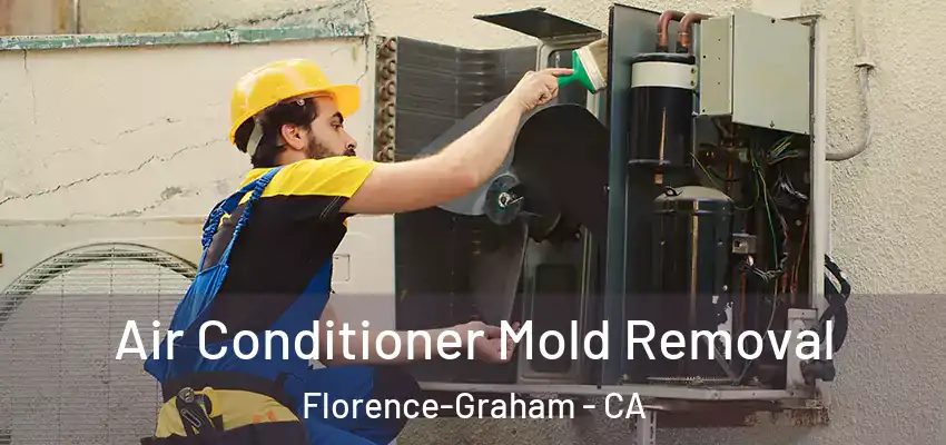  Air Conditioner Mold Removal Florence-Graham - CA