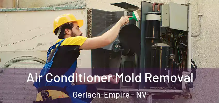  Air Conditioner Mold Removal Gerlach-Empire - NV