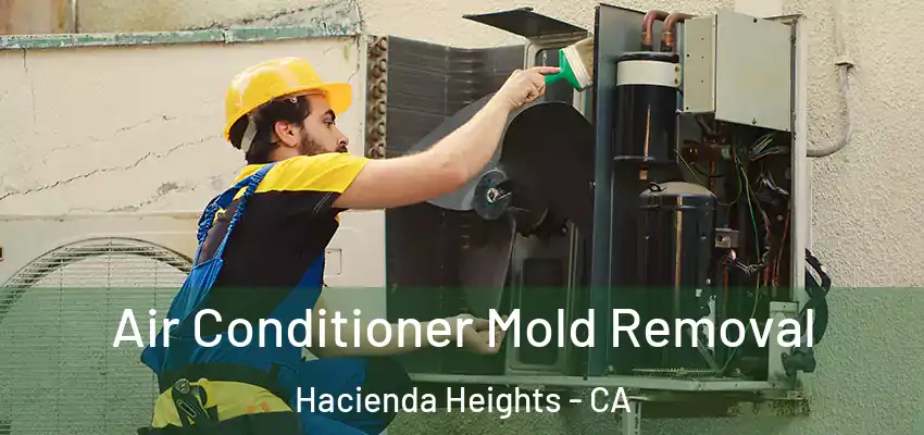  Air Conditioner Mold Removal Hacienda Heights - CA