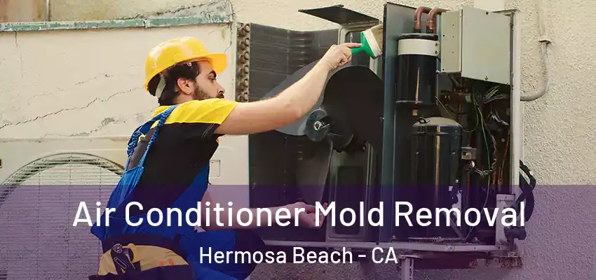  Air Conditioner Mold Removal Hermosa Beach - CA