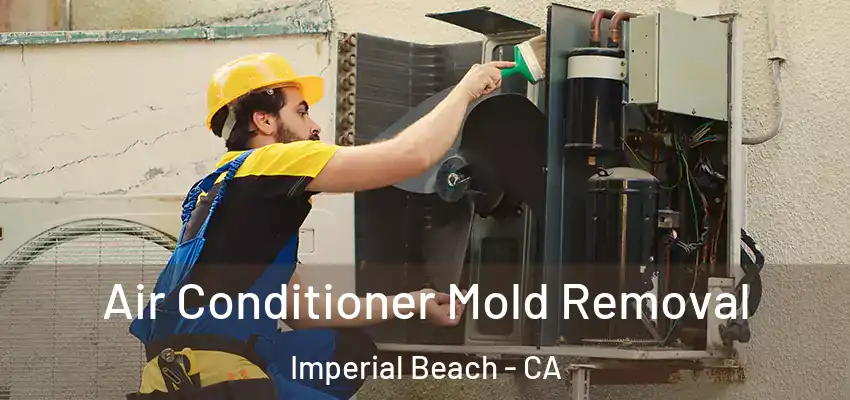  Air Conditioner Mold Removal Imperial Beach - CA