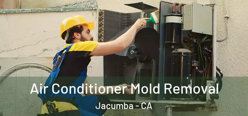 Air Conditioner Mold Removal Jacumba - CA