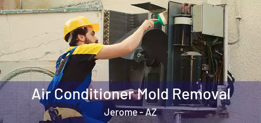  Air Conditioner Mold Removal Jerome - AZ