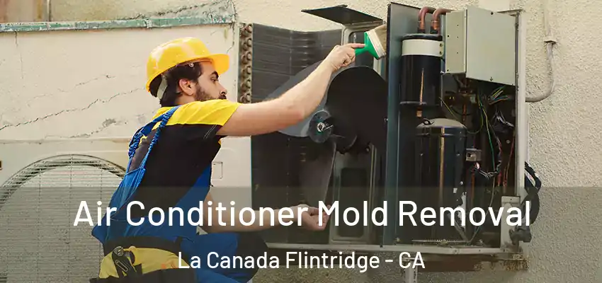  Air Conditioner Mold Removal La Canada Flintridge - CA