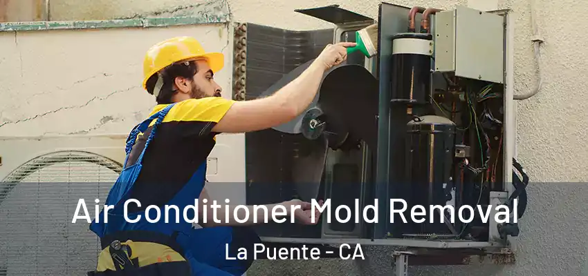 Air Conditioner Mold Removal La Puente - CA