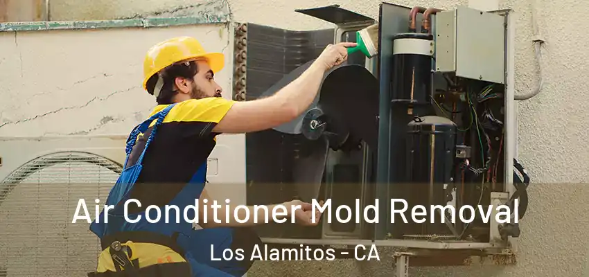  Air Conditioner Mold Removal Los Alamitos - CA