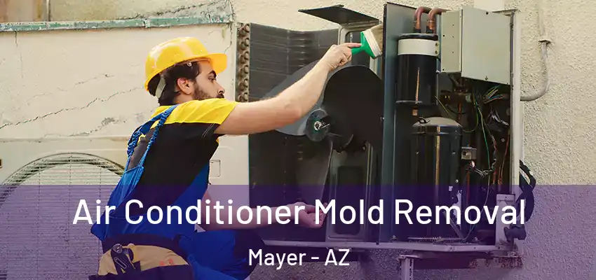  Air Conditioner Mold Removal Mayer - AZ
