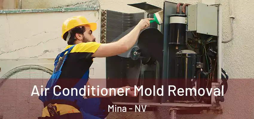 Air Conditioner Mold Removal Mina - NV