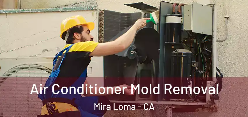  Air Conditioner Mold Removal Mira Loma - CA
