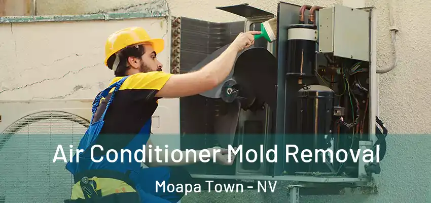  Air Conditioner Mold Removal Moapa Town - NV