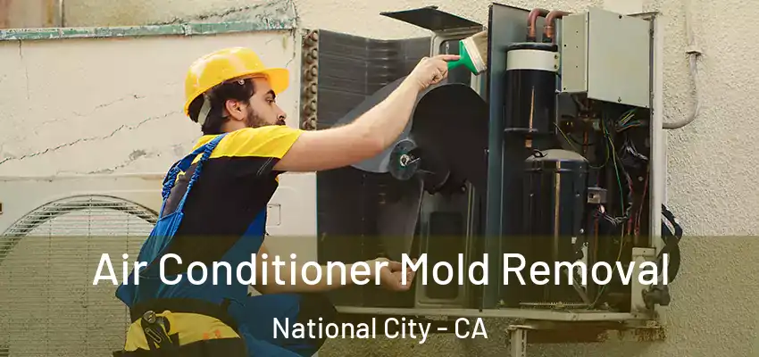  Air Conditioner Mold Removal National City - CA