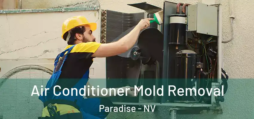  Air Conditioner Mold Removal Paradise - NV