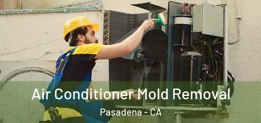  Air Conditioner Mold Removal Pasadena - CA
