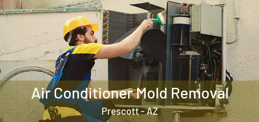  Air Conditioner Mold Removal Prescott - AZ