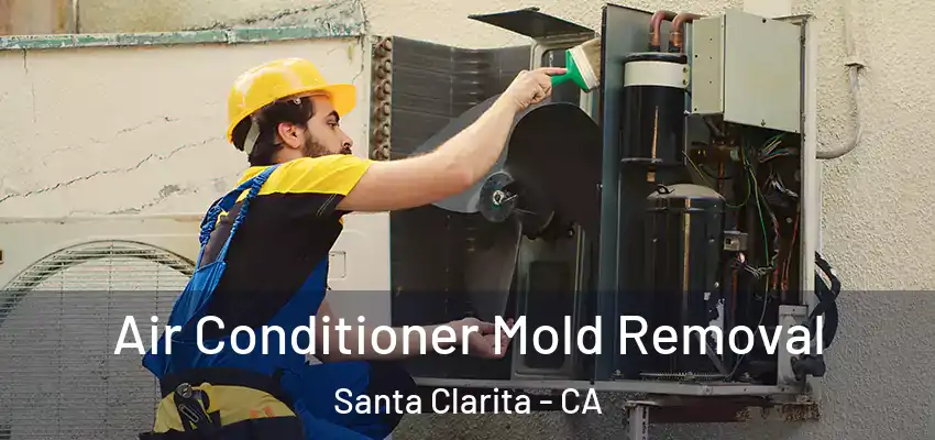  Air Conditioner Mold Removal Santa Clarita - CA
