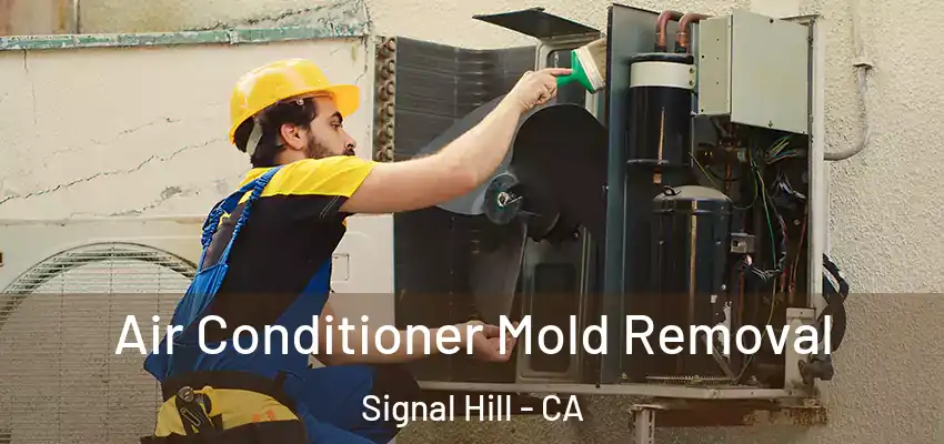  Air Conditioner Mold Removal Signal Hill - CA