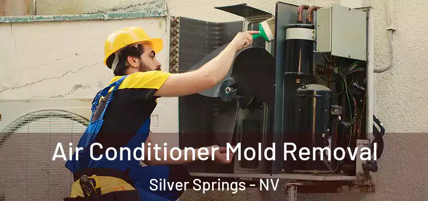  Air Conditioner Mold Removal Silver Springs - NV