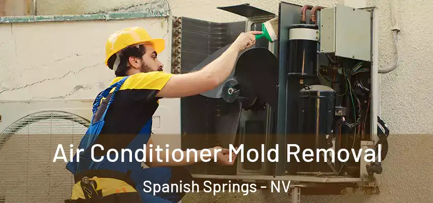  Air Conditioner Mold Removal Spanish Springs - NV