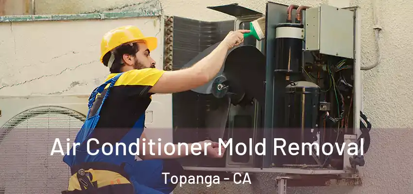  Air Conditioner Mold Removal Topanga - CA