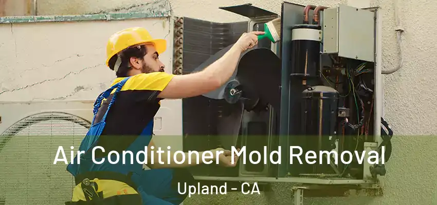  Air Conditioner Mold Removal Upland - CA