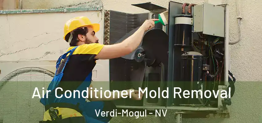  Air Conditioner Mold Removal Verdi-Mogul - NV