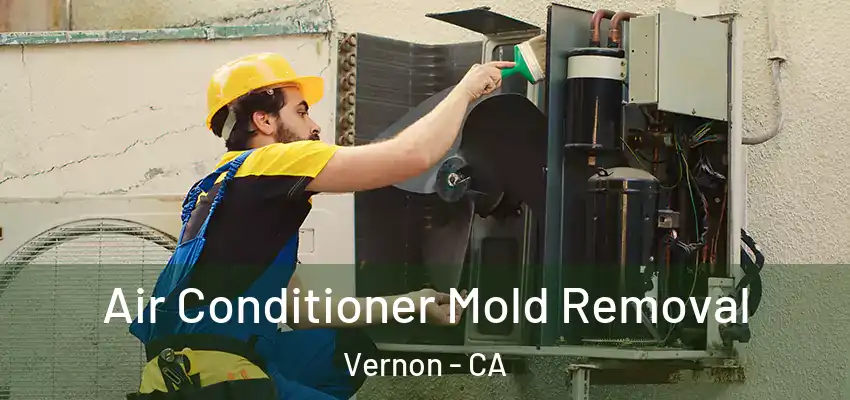  Air Conditioner Mold Removal Vernon - CA