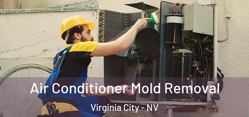  Air Conditioner Mold Removal Virginia City - NV