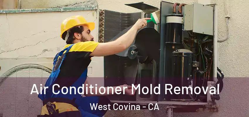  Air Conditioner Mold Removal West Covina - CA