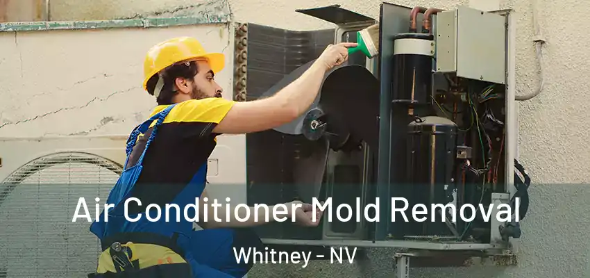  Air Conditioner Mold Removal Whitney - NV