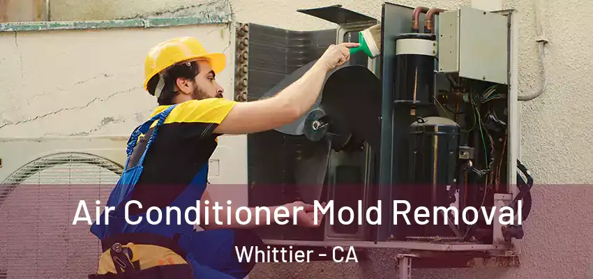 Air Conditioner Mold Removal Whittier - CA
