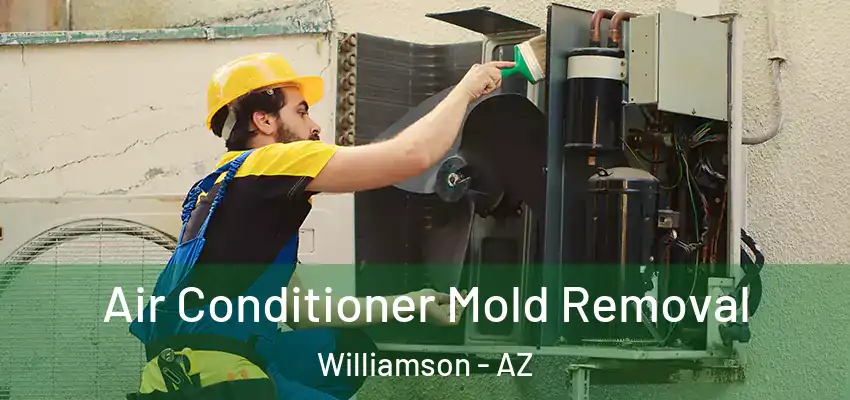  Air Conditioner Mold Removal Williamson - AZ