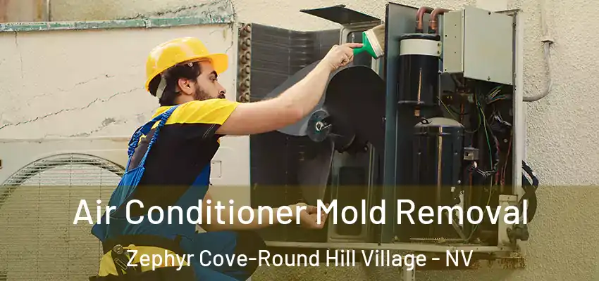  Air Conditioner Mold Removal Zephyr Cove-Round Hill Village - NV
