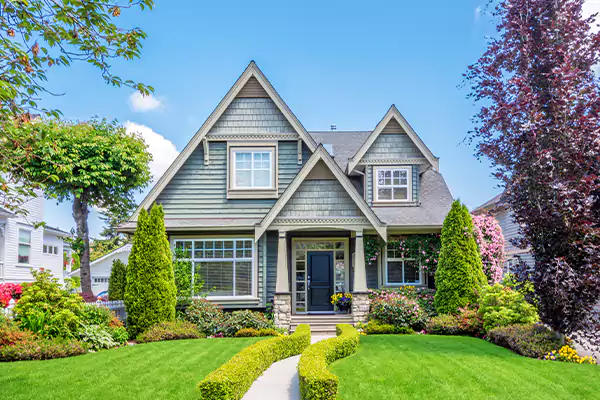 Black Mold Clean Up in Cerritos, CA