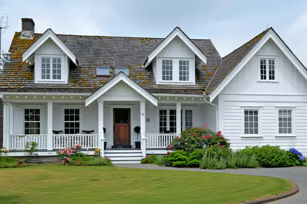 Mold Removal Services in Cerritos, CA