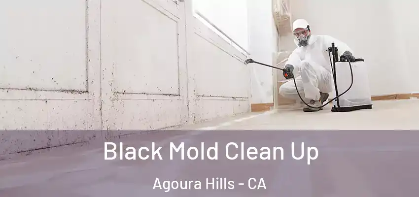  Black Mold Clean Up Agoura Hills - CA