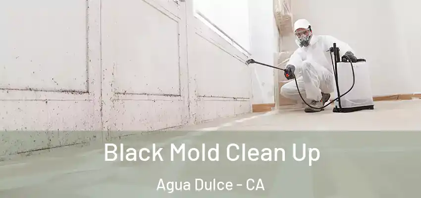  Black Mold Clean Up Agua Dulce - CA