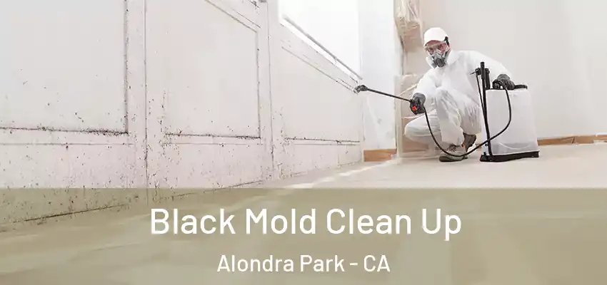  Black Mold Clean Up Alondra Park - CA