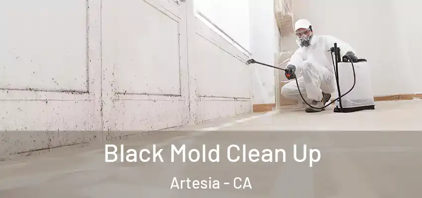  Black Mold Clean Up Artesia - CA