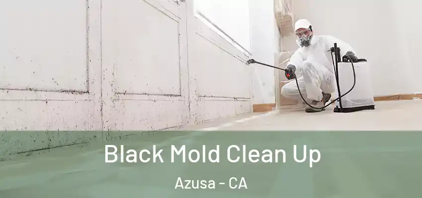  Black Mold Clean Up Azusa - CA