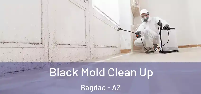  Black Mold Clean Up Bagdad - AZ