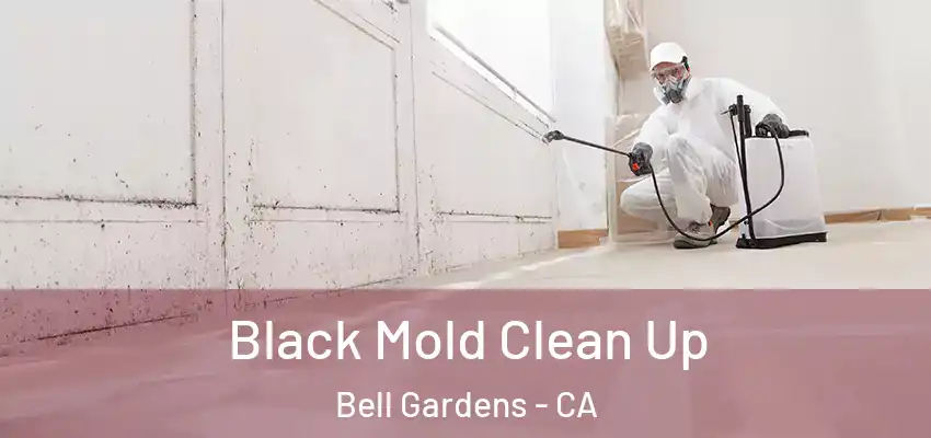  Black Mold Clean Up Bell Gardens - CA