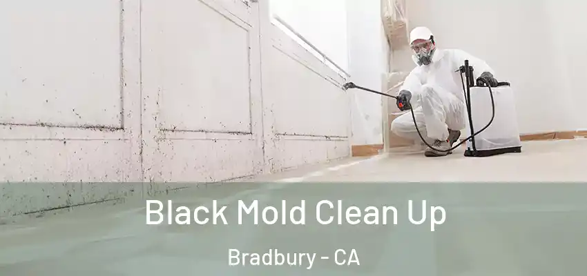  Black Mold Clean Up Bradbury - CA